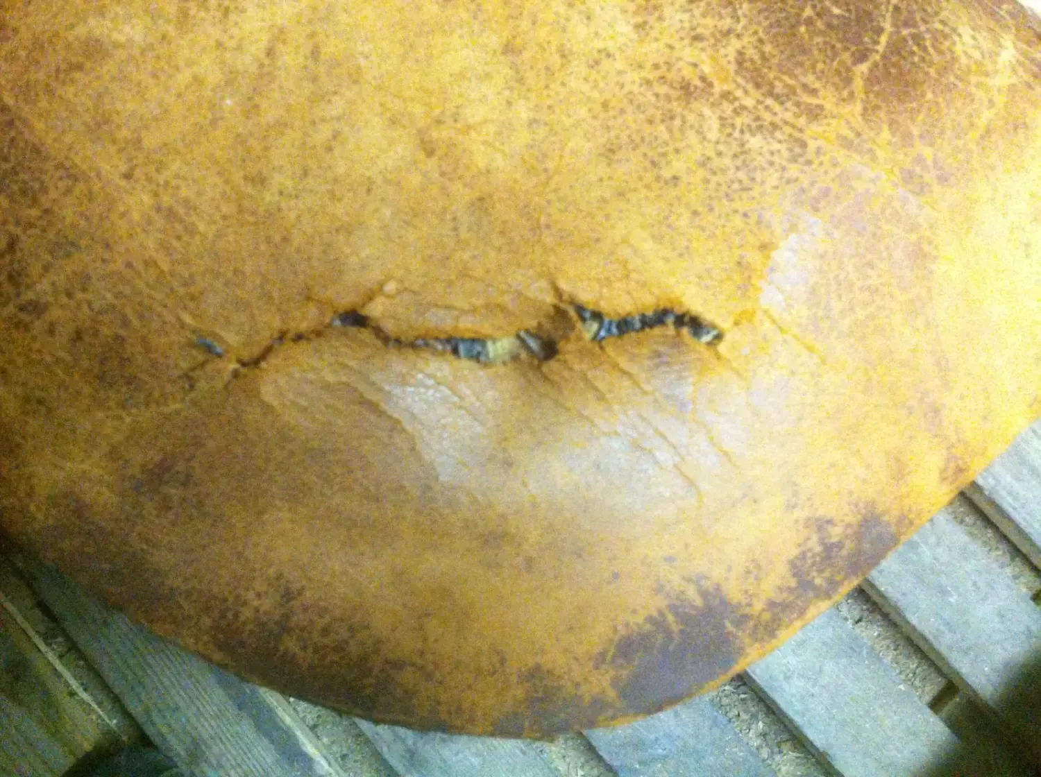 Reparaturen von Oberflächen durch Azur Oberflächen GmbH