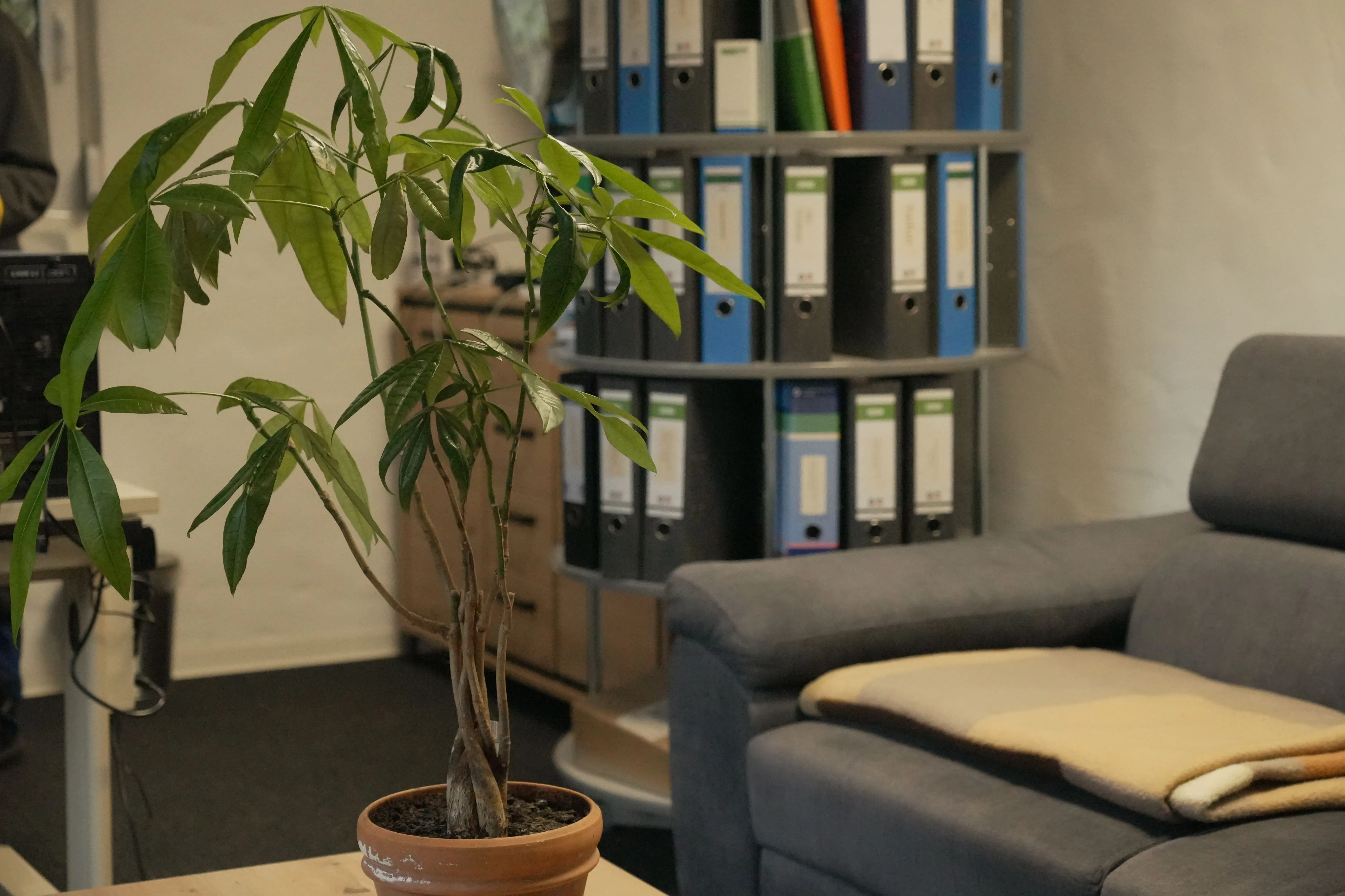 Azur Oberflächen GmbH - Reparaturen von Oberflächen - Firmenwagen